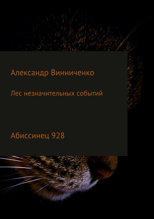 Абиссинец 928