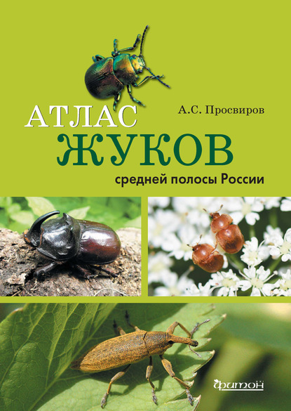 Атлас жуков средней полосы России (pdf)