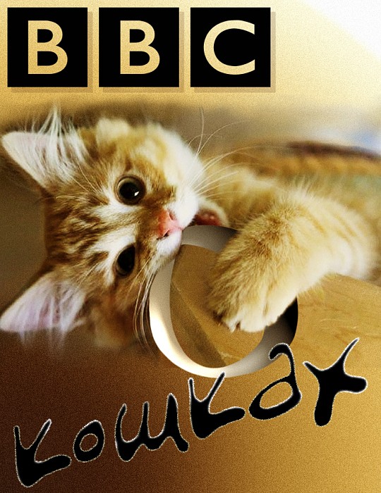 «Би-Би-Си» о кошках (epub)