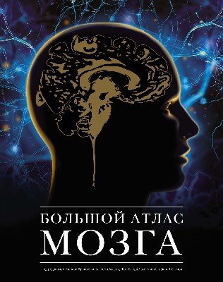 Большой атлас мозга (pdf)