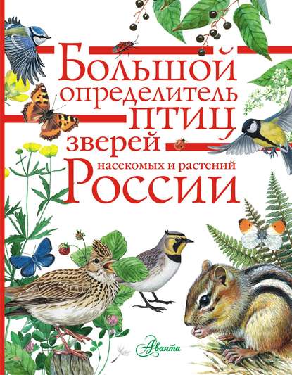 Большой определитель птиц, зверей, насекомых и растений России (pdf)