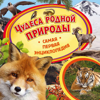Чудеса родной природы (pdf)