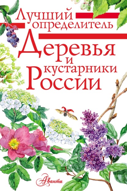 Деревья и кустарники России. Определитель (pdf)