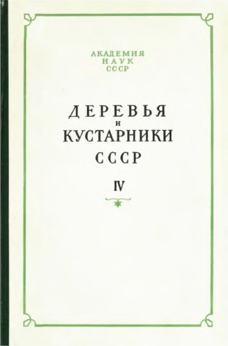 Деревья и кустарники СССР. Дикорастущие, культивируемые и перспективные для интродукции. IV (djvu)