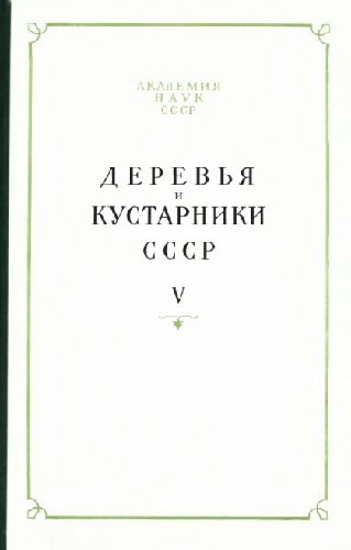 Деревья и кустарники СССР. Дикорастущие, культивируемые и перспективные для интродукции. V (djvu)