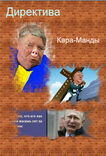 Директива кара-манды
