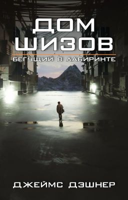Дом шизов (epub)