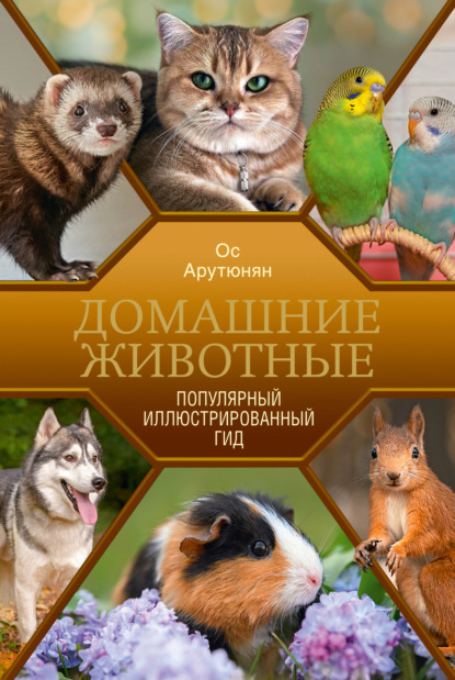 Домашние животные. Популярный иллюстрированный гид (pdf)