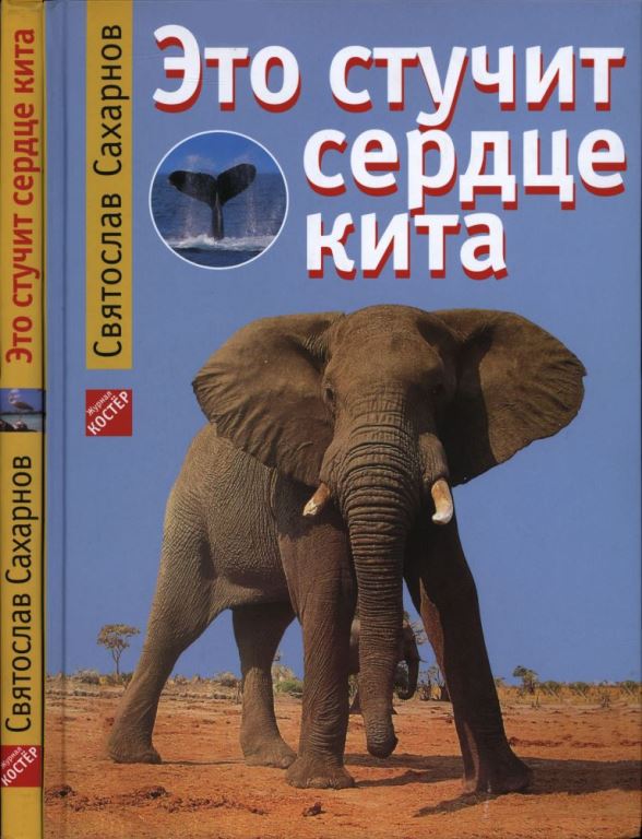 Это стучит сердце кита (pdf)