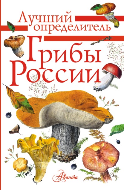Грибы России. Определитель (pdf)
