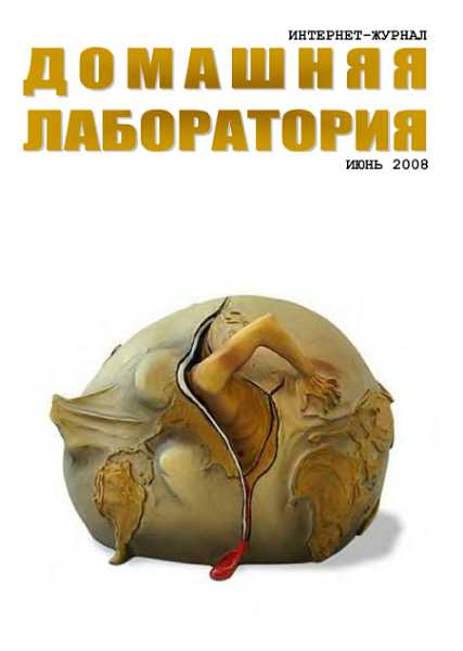 Интернет-журнал "Домашняя лаборатория", 2008 №6