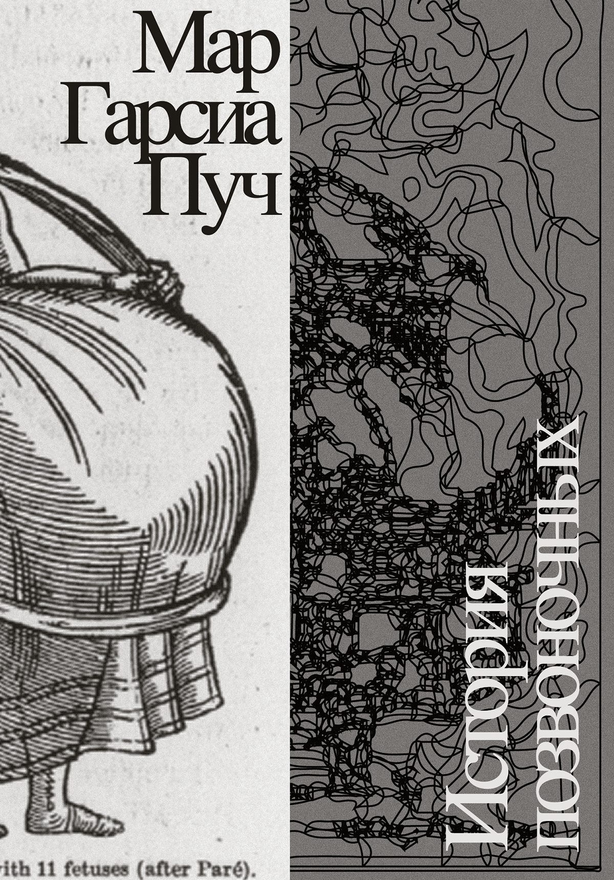 История позвоночных