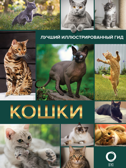 Кошки (pdf)