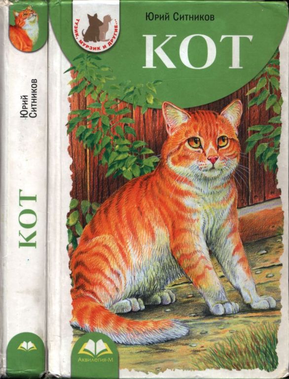 Кот (pdf)