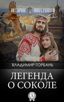 Легенда о Соколе (epub)