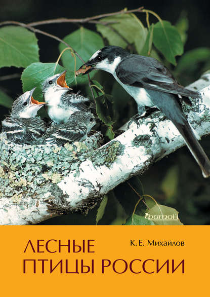 Лесные птицы России (pdf)