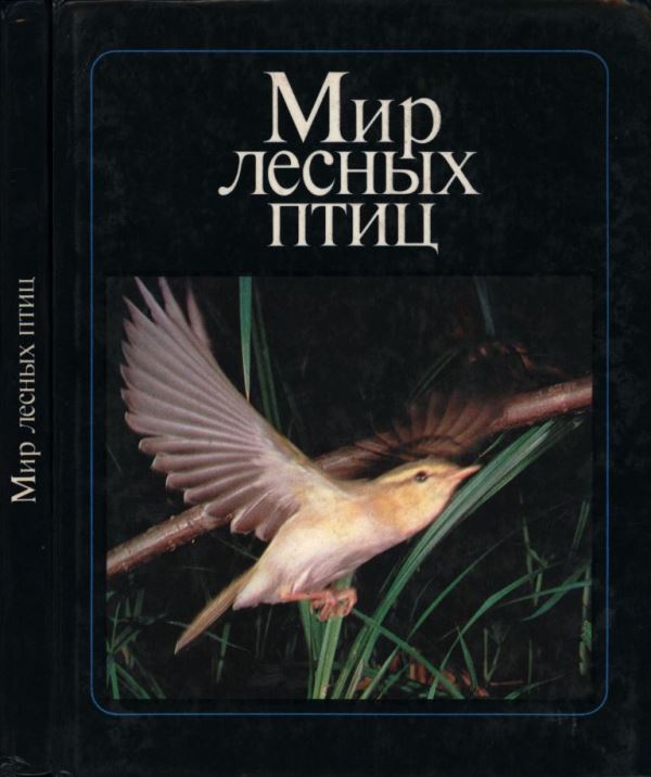 Мир лесных птиц (pdf)