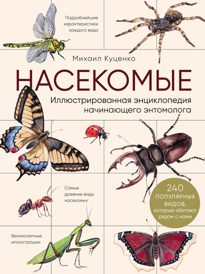 Насекомые. Иллюстрированная энциклопедия начинающего энтомолога (240 популярных видов, которые обитают рядом с нами) (pdf)