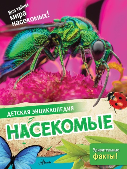 Насекомые (pdf)
