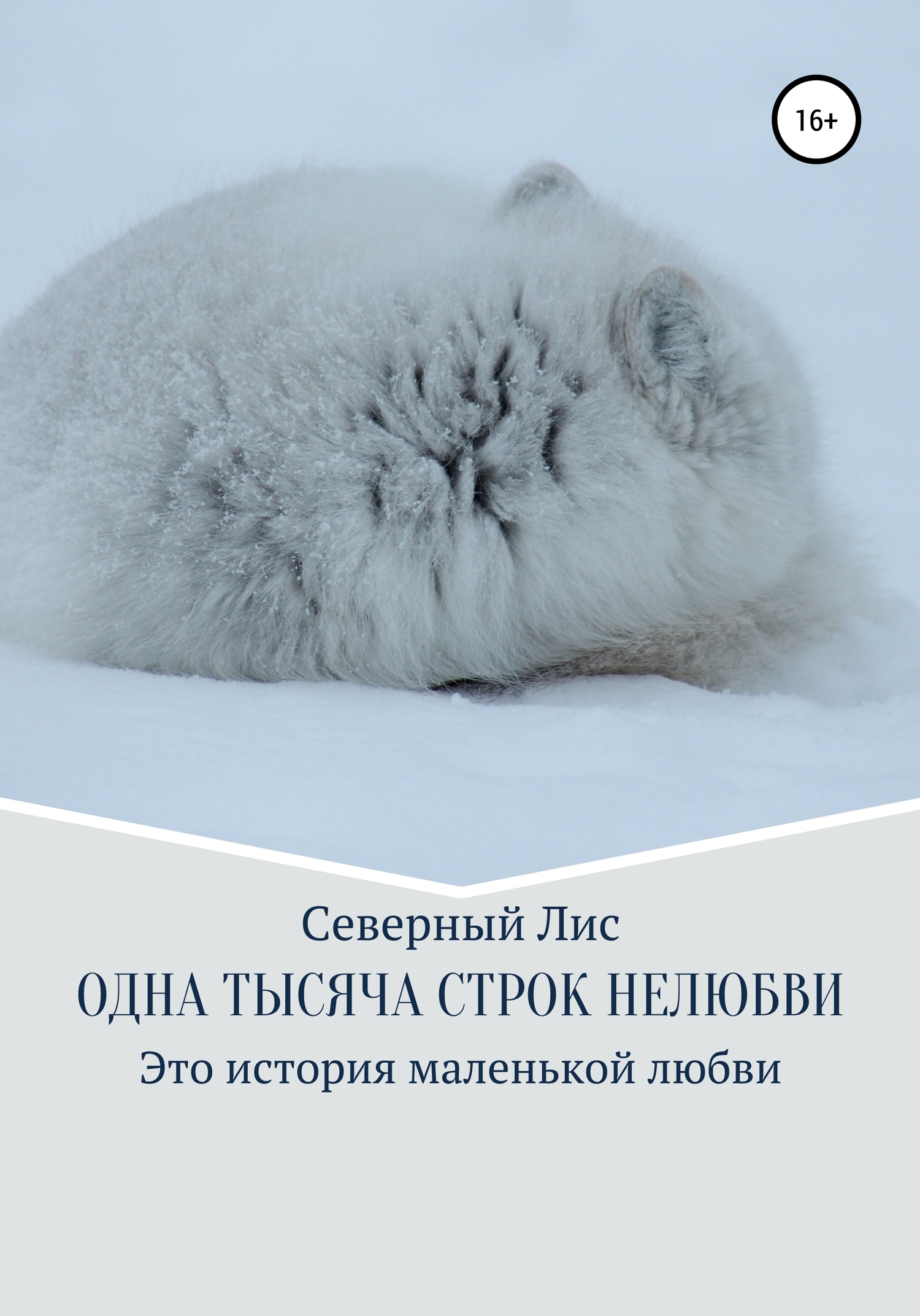 Одна тысяча строк нелюбви