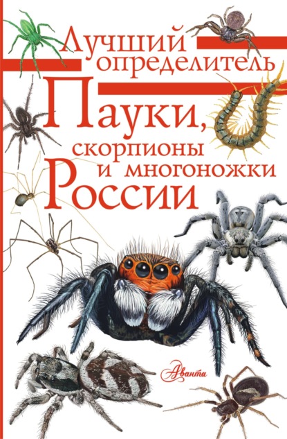 Пауки, скорпионы и многоножки России (pdf)