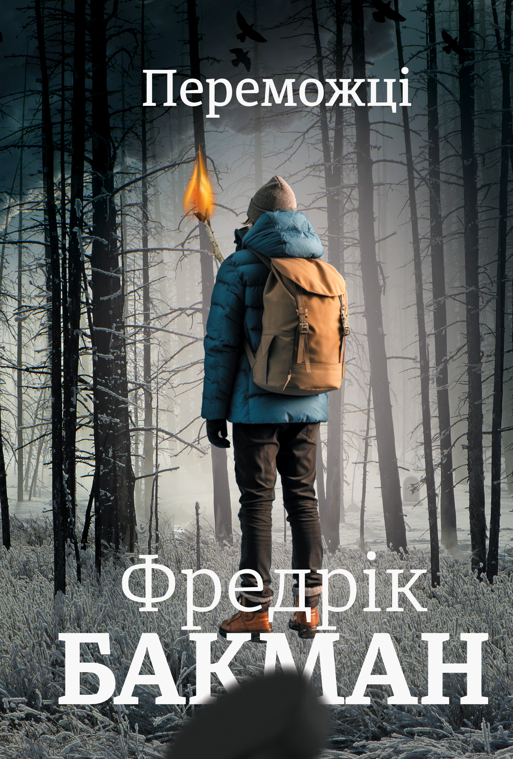 Переможці (epub)