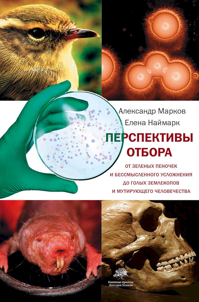 Перспективы отбора. От зелёных пеночек и бессмысленного усложнения до голых землекопов и мутирующего человечества