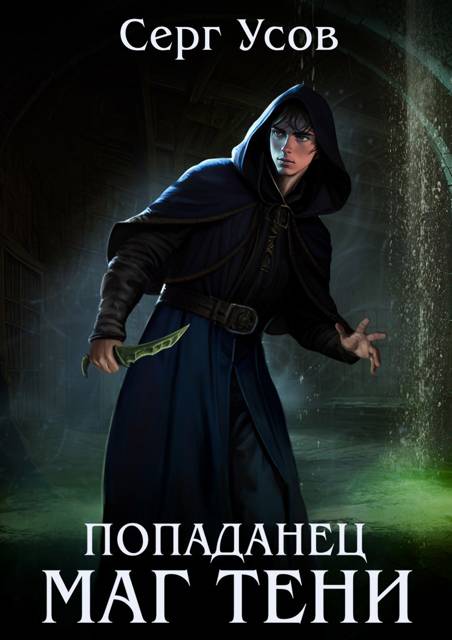 Попаданец. Маг Тени. Книга 12