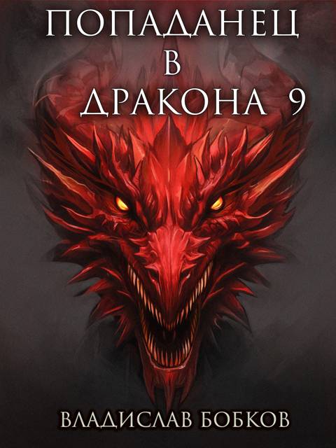 Попаданец в Дракона 9