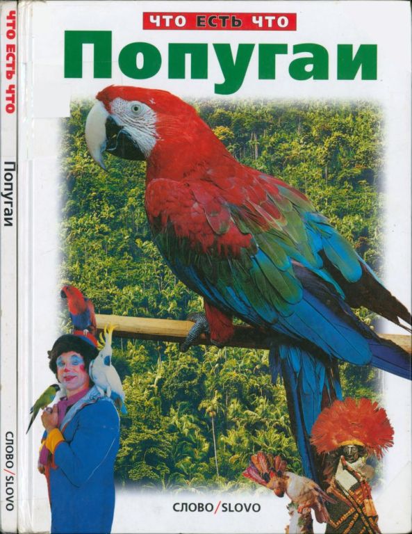 Попугаи (pdf)