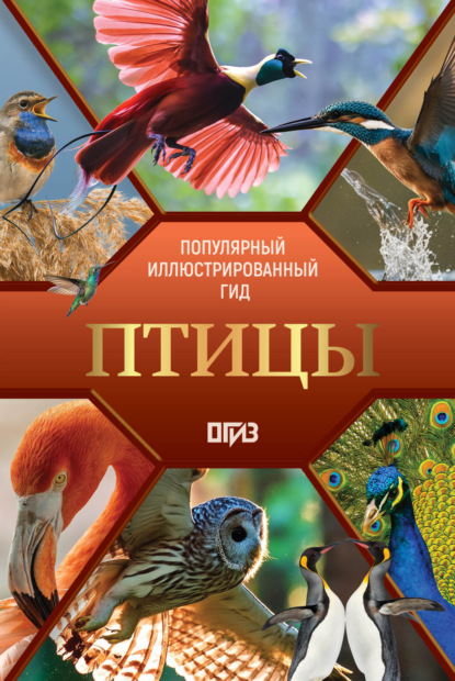 Птицы. Иллюстрированный гид (pdf)