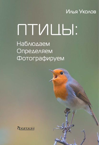Птицы: наблюдаем, определяем, фотографируем (pdf)