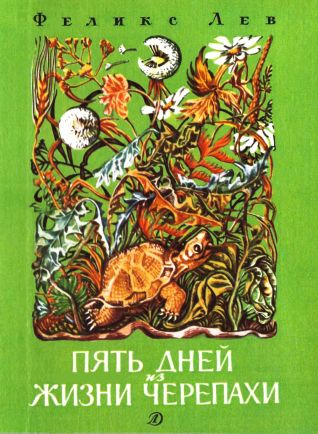 Пять дней из жизни черепахи