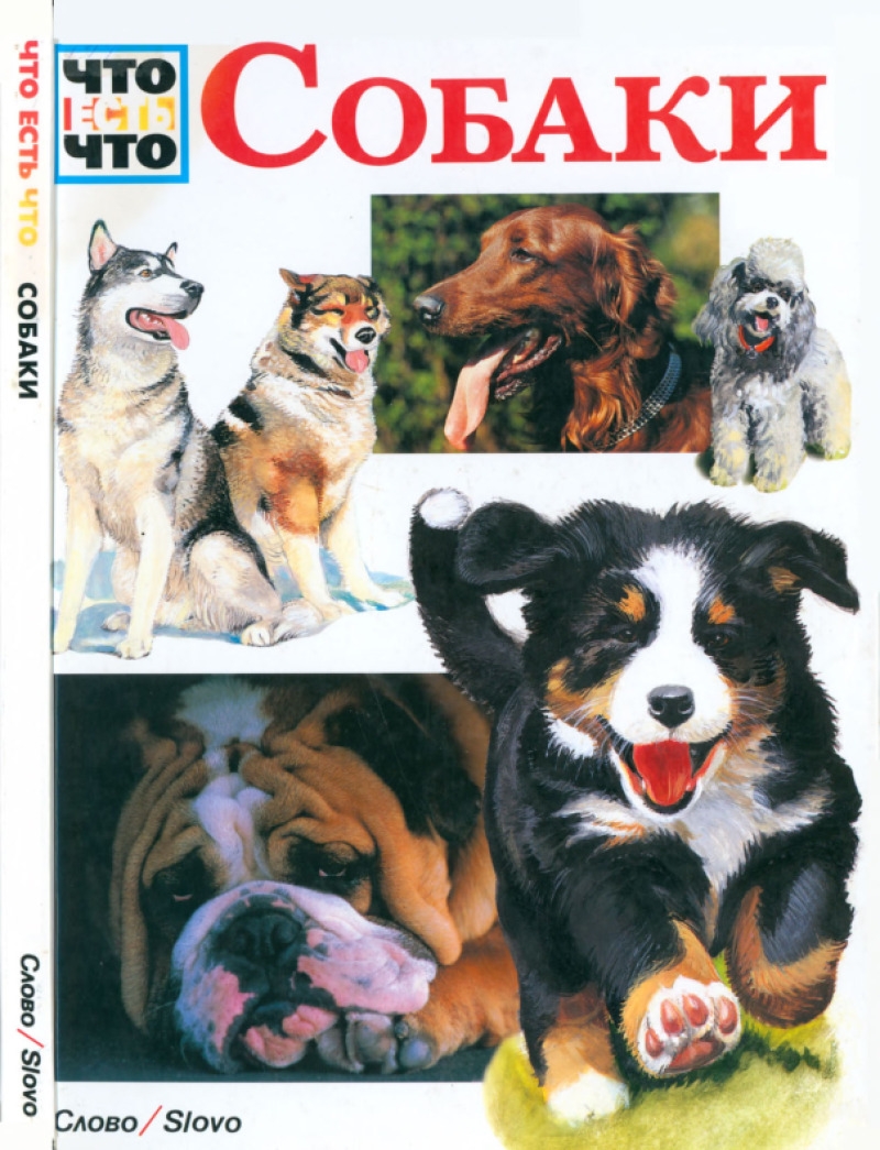Собаки (pdf)