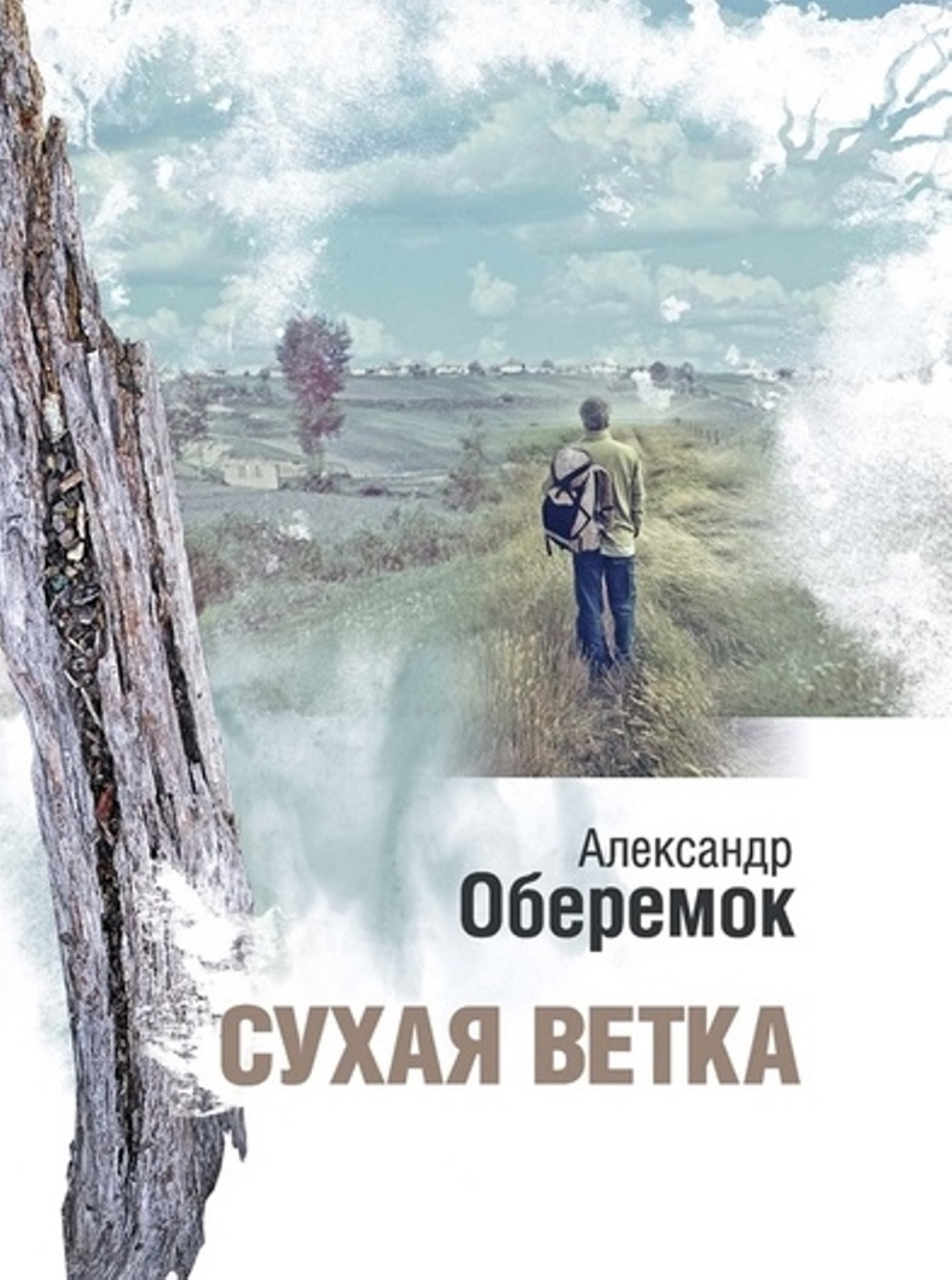 Сухая ветка (epub)