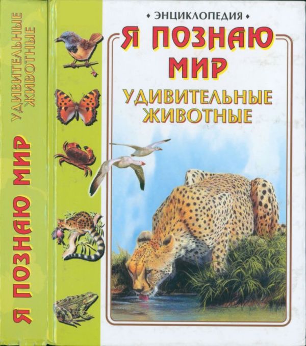 Удивительные животные (pdf)