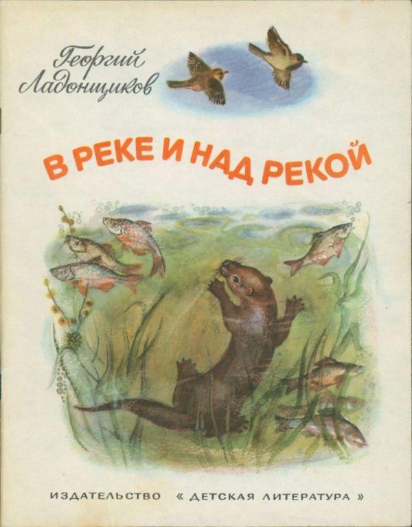 В реке и над рекой (pdf)