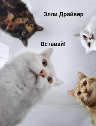 Вставай!