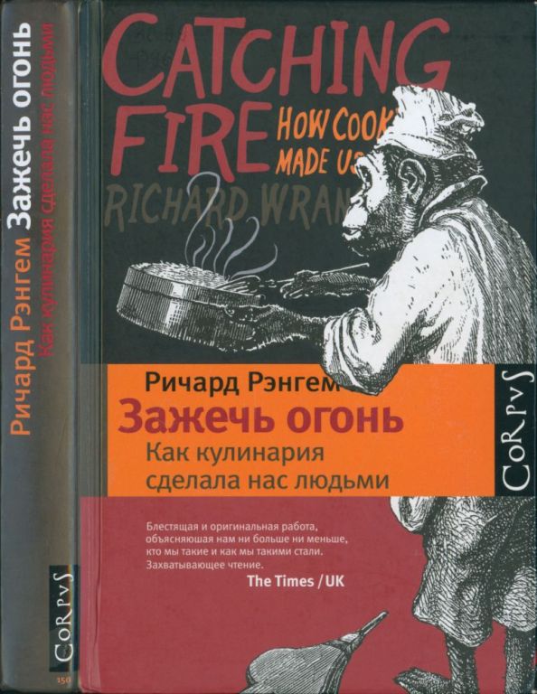 Зажечь огонь. Как кулинария сделала нас людьми (pdf)