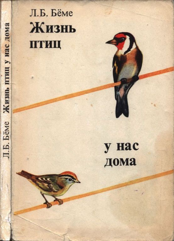 Жизнь птиц у нас дома (pdf)