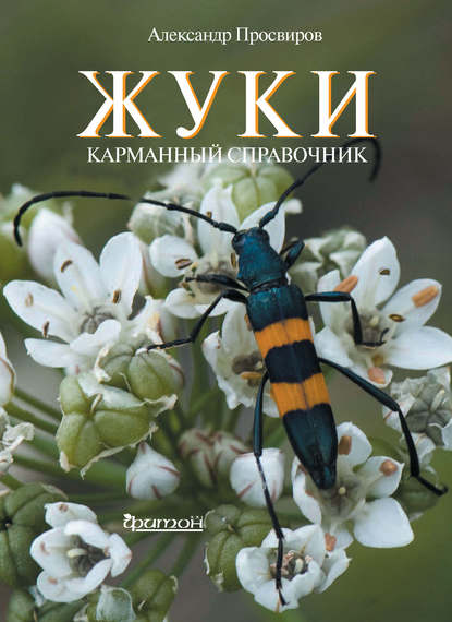 Жуки (pdf)