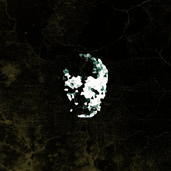Skeleton