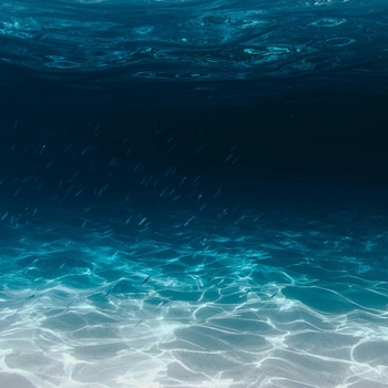 Ocean Eyes