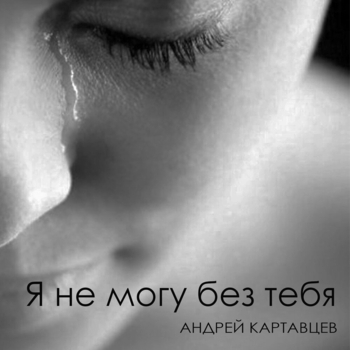 Я не могу без тебя