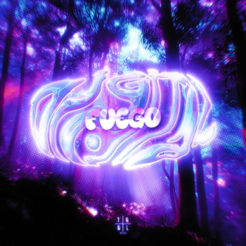 FUEGO DIGITAL