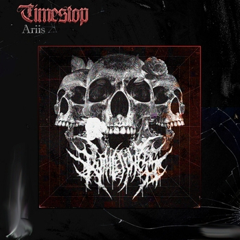 Timestop