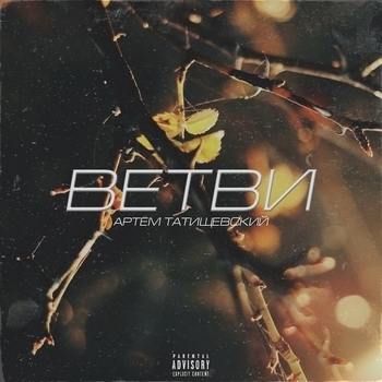 Ветви