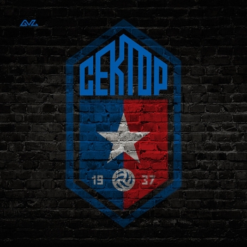 Сектор