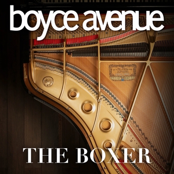 The Boxer