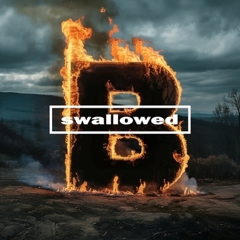 Swallowed